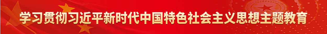 學習貫徹習近平新時代中國特色社會主義思想主題教育